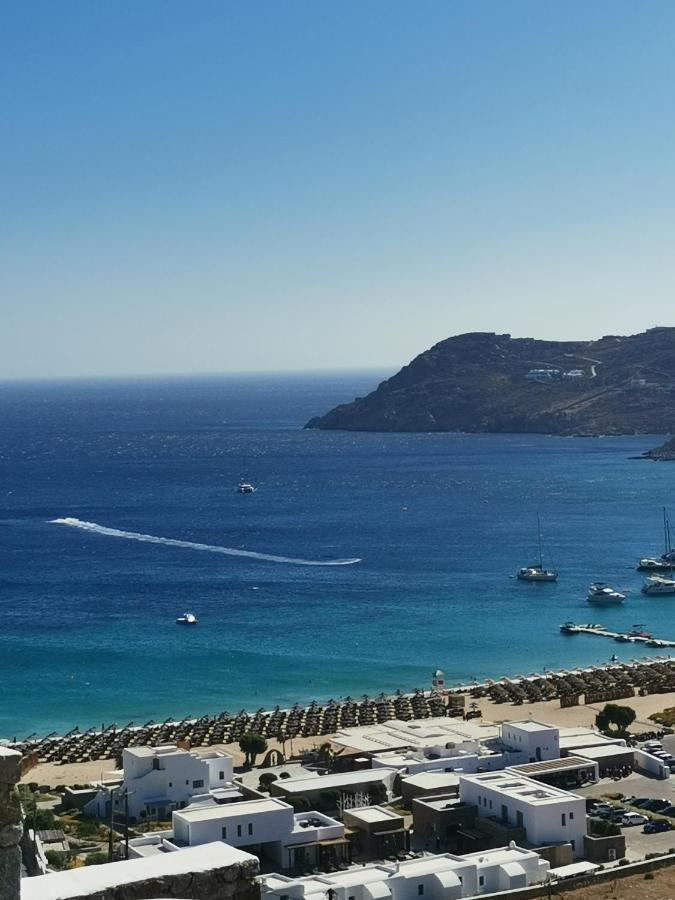 Villa Viktoria In Elia Beach, Mykonos Mykonos Town Exterior photo